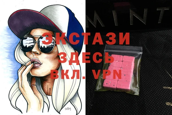 шишки Инта